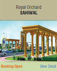 Royal Orchard Sahiwal